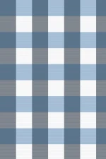 A Mistletoe : Blue Tartan Pattern