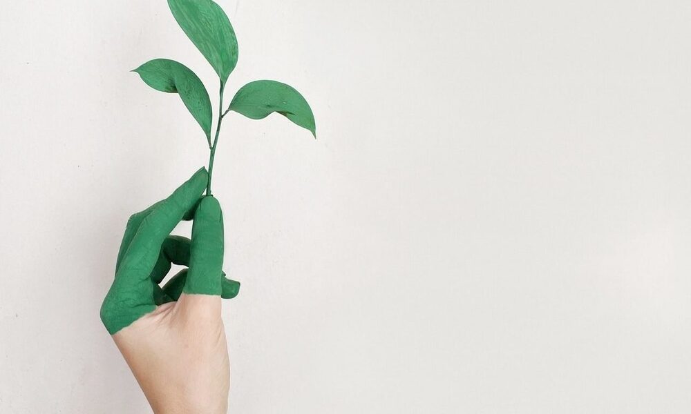 Eco-Fashion. Such a Sustainable Trend!