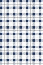 Picnic Time : Navy Gingham Pattern