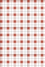 Picnic Time : Red Gingham Pattern