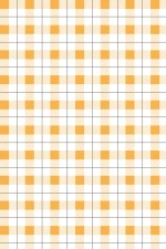Picnic Time : Yellow Gingham Pattern